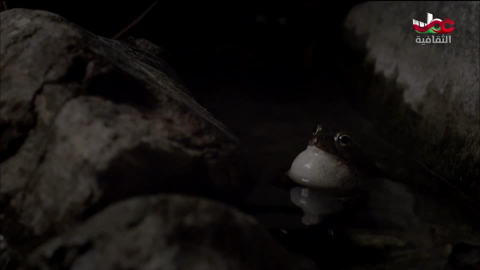 برنامج آخر الصفحة - الحلقة 1