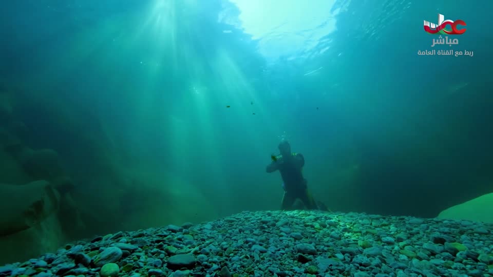 برنامج/طاقة الحياة