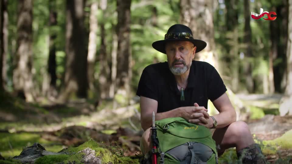 المسلسل الكوري/Welcome to live