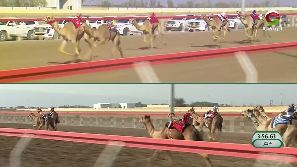 مهرجان البشائر الثامن لسباقات الهجن 2025 - الحلقة 2