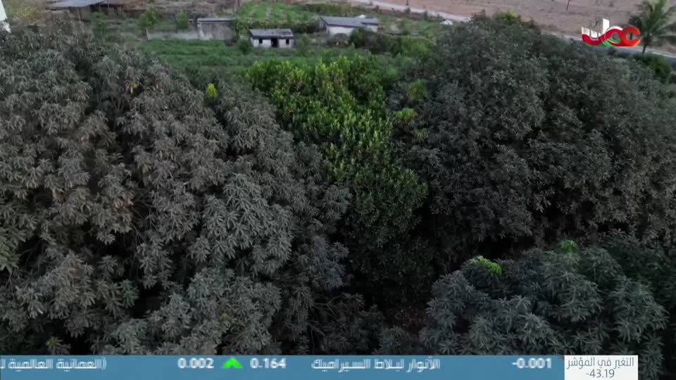 برنامج/الصرب