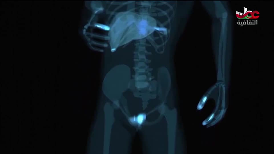 البرنامج الثقافي - عالم الأشجار