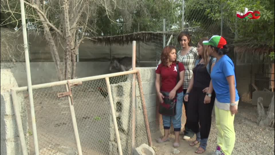 برنامج - مدن وحضارات - الحلقة 4