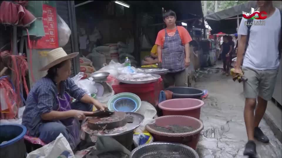 البرنامج الثقافي - المسافر البيئي - الحلقة 1