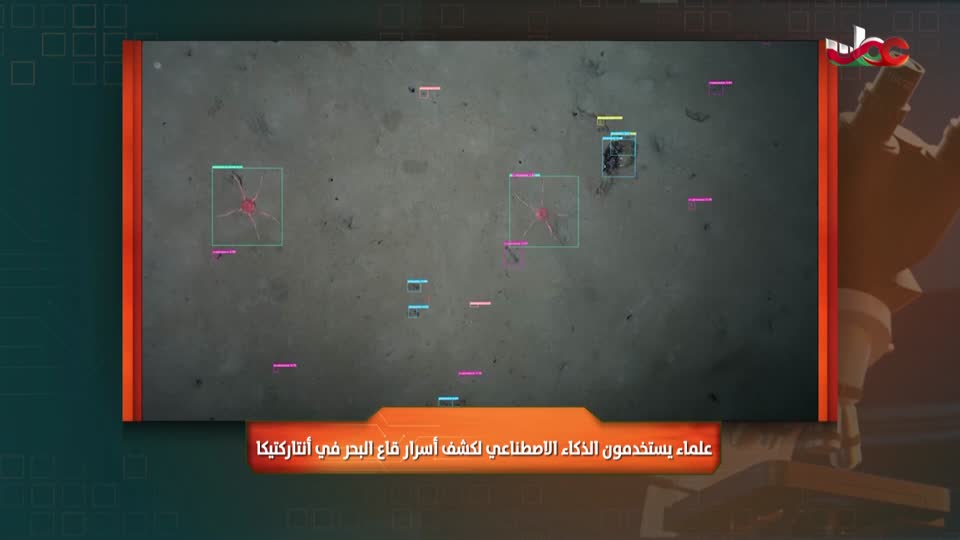 برنامج/المجهر