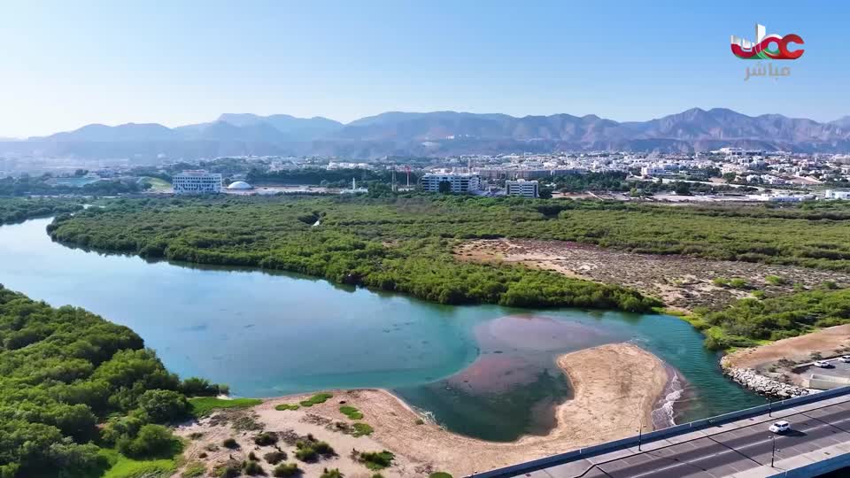 مسلسل الاطفال فريق الحماية - الحلقة 34