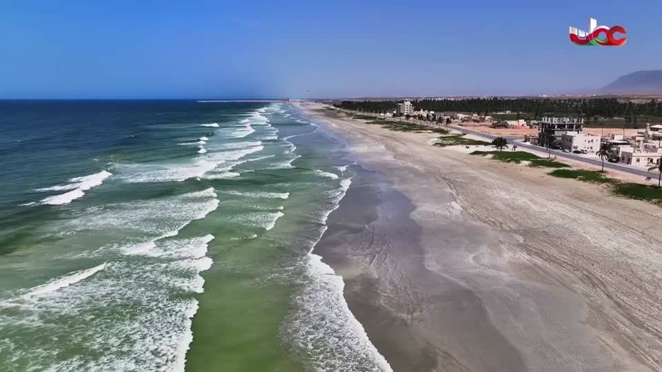 برنامج/أفنان