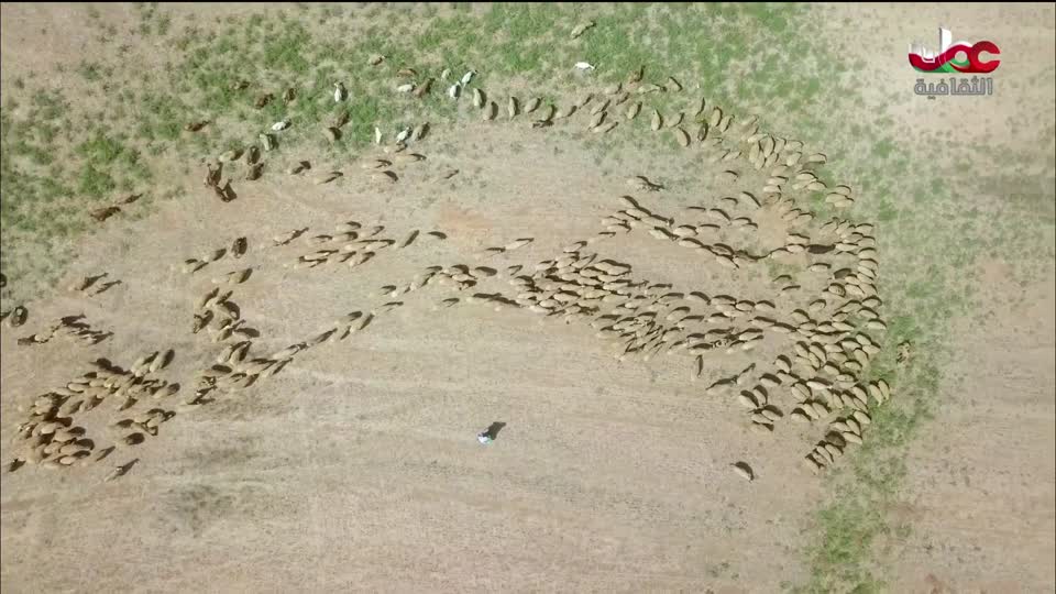 البرنامج الثقافي طرقات وعرة - الحلقة 4