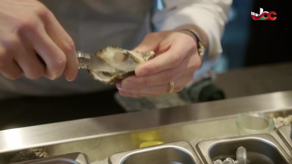 برنامج - في أحضان الرفهاية - ج1 - الحلقة 9