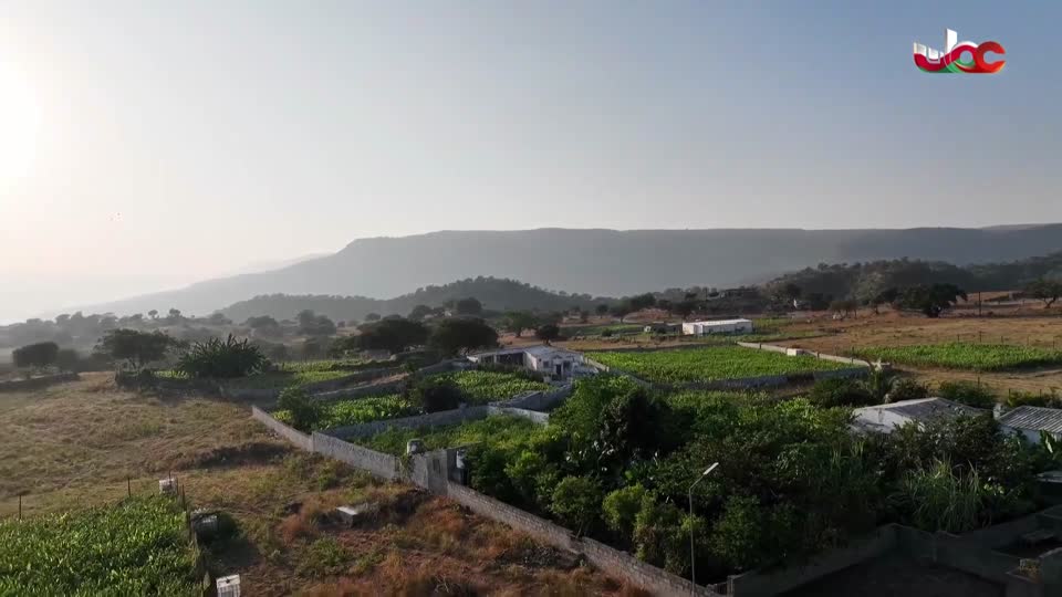 برنامج/الصرب