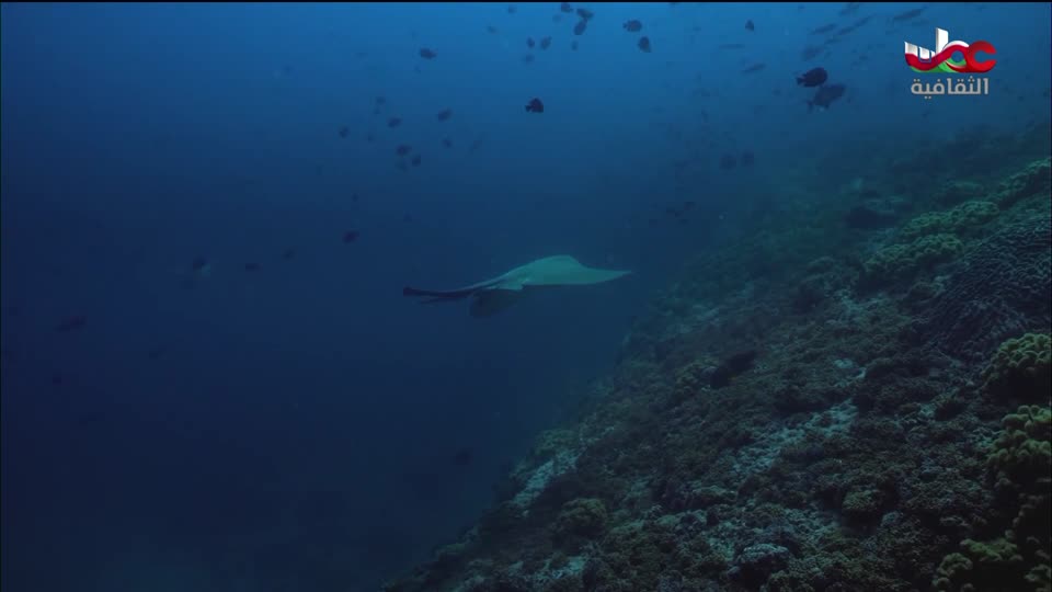 برنامج آخر الصفحة - الحلقة 4