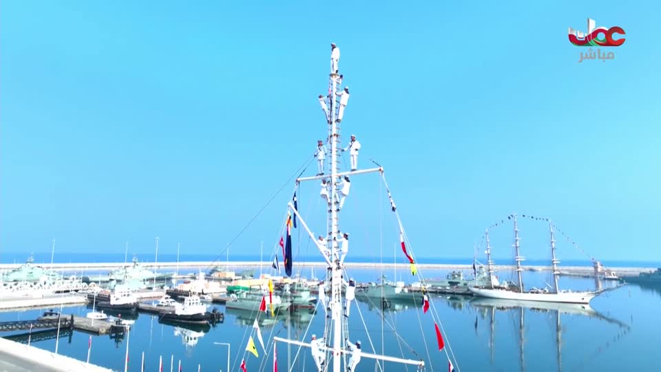 برنامج/أفنان