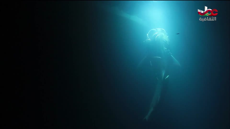 البرنامج الثقافي - كنور غارقة