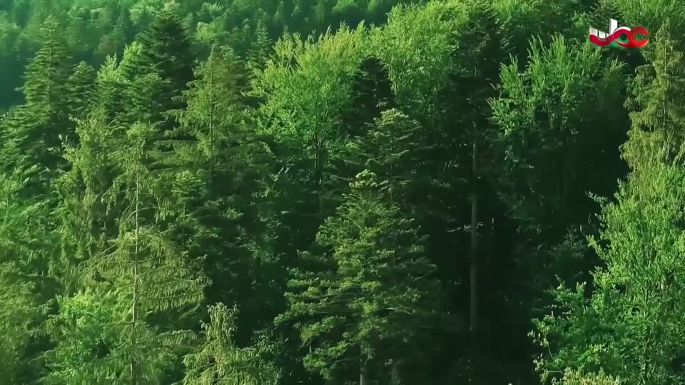 المسلسل المحلي - زينب - الحلقة 27