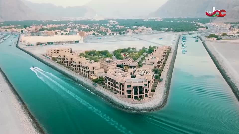 برنامج/طاقة الحياة