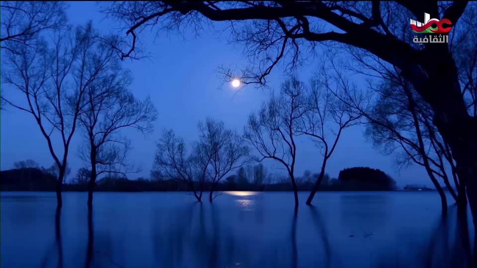 البرنامج الثقافي - الفضاء الشاسع - الحلقة 5