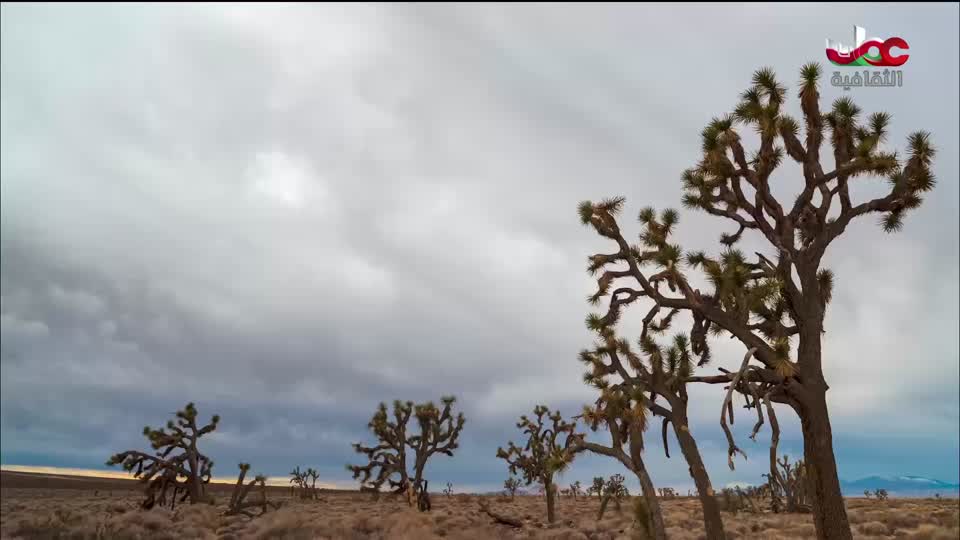 برنامج - كنوز الصحراء - الحلقة 6