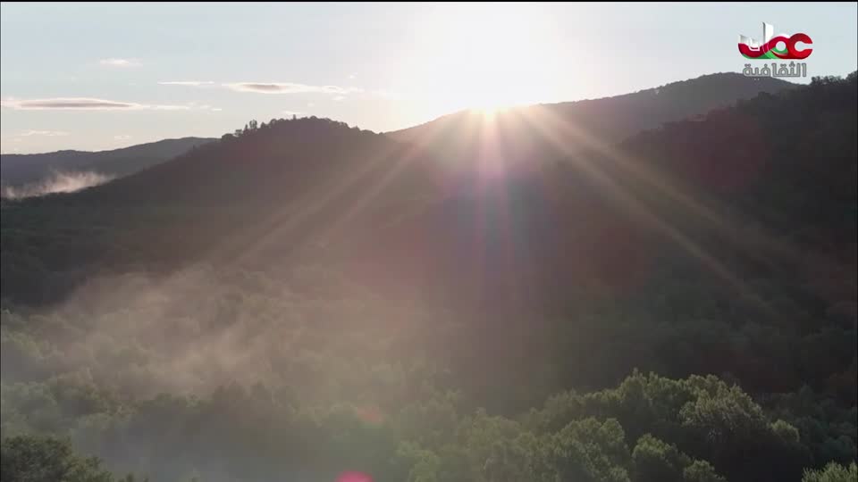 البرنامج الثقافي - الصراع من أجل البقاء