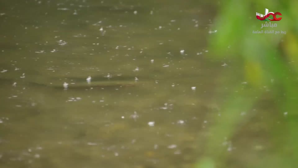 برنامج - في أحضان الرفهاية - ج2 - الحلقة 1