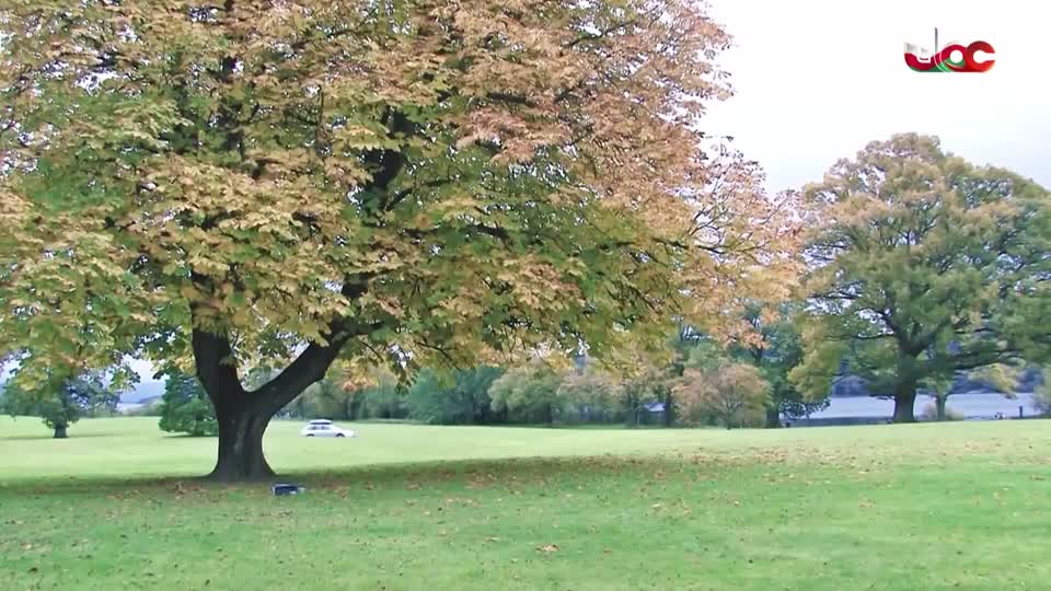 المسلسل المحلي - زينب - الحلقة 29