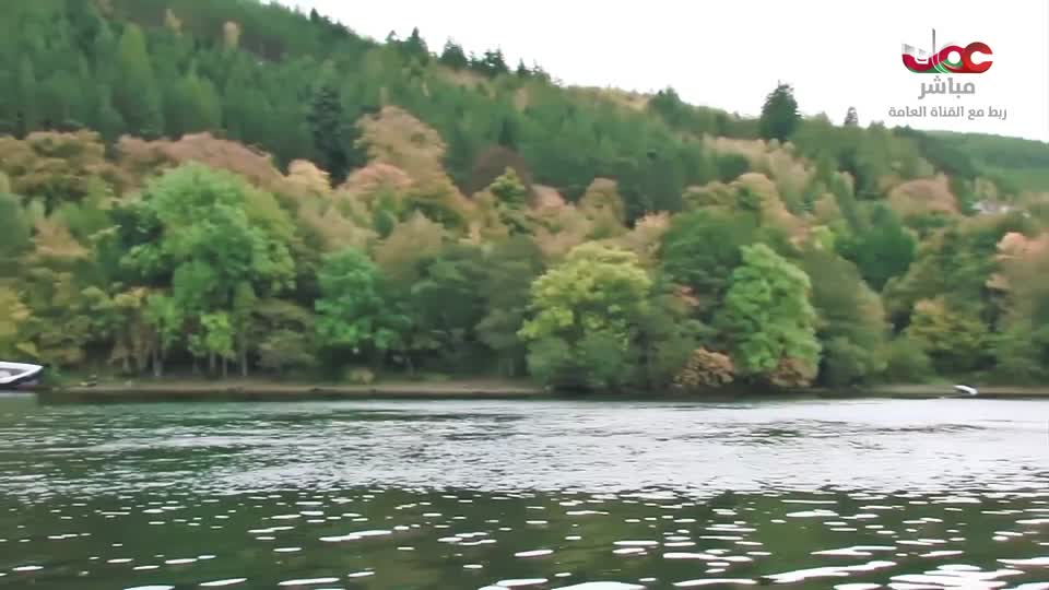 المسلسل المحلي - زينب - الحلقة 29