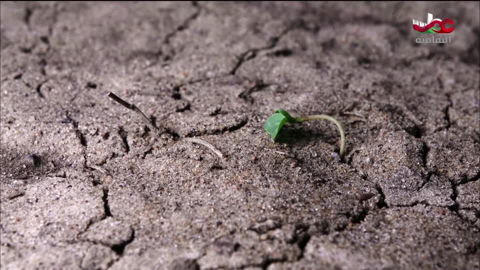 برنامج - كنوز الصحراء - الحلقة 7