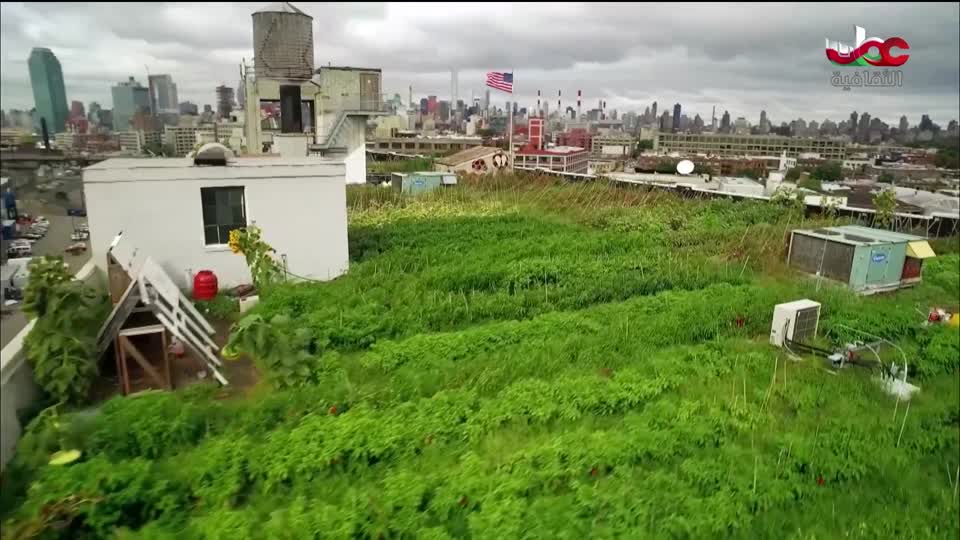 البرنامج الثقافي - رحلات جيولوجية - الحلقة 7