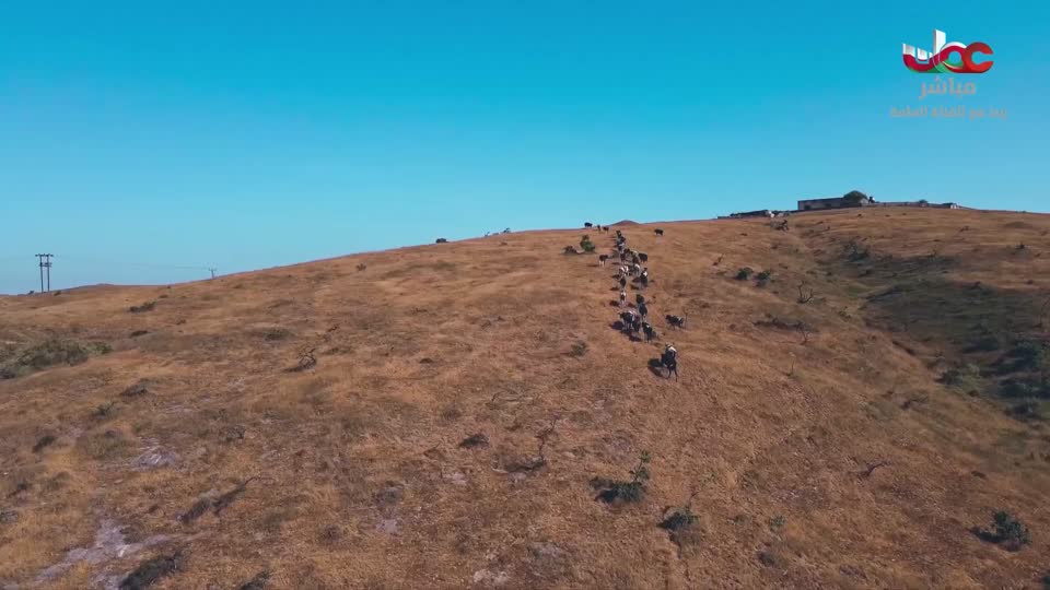 المسلسل البدوي صقار