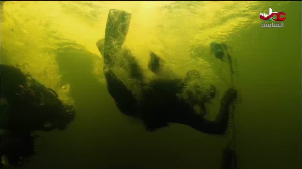 البرنامج الثقافي - الصراع من أجل البقاء