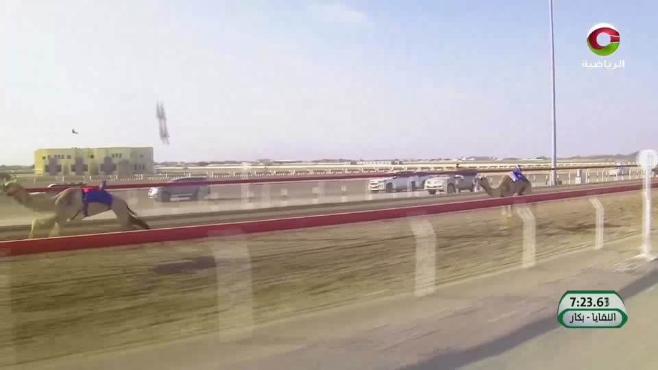 مهرجان البشائر الثامن لسباقات الهجن 2025 - اليوم الثاني ج2