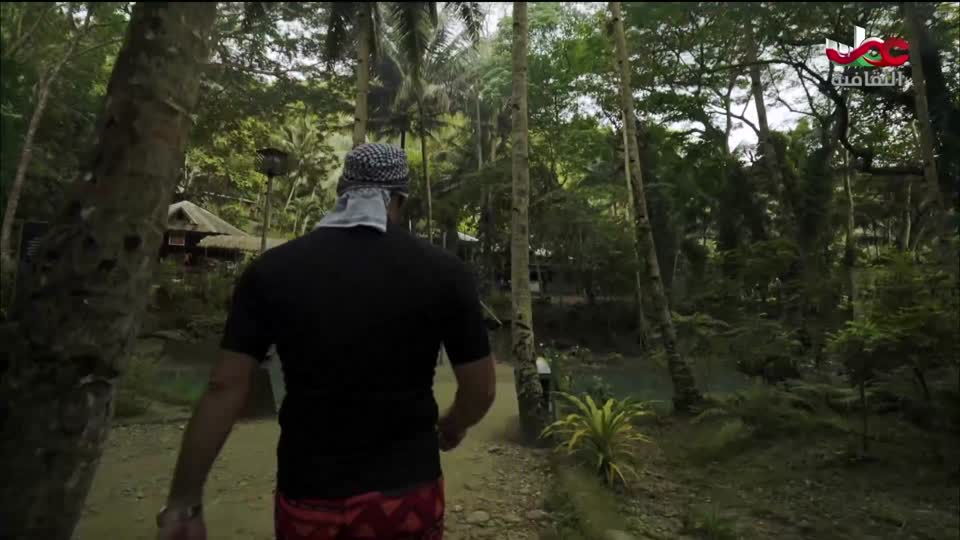 البرنامج الثقافي - ديكورات - الحلقة 12