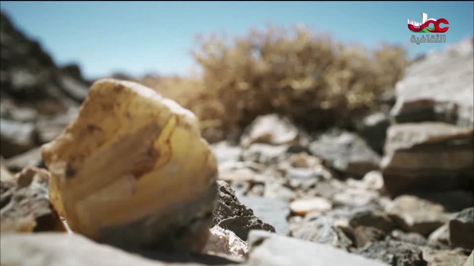 البرنامج الثقافي - أفضل الأسواق على الأرض - الحلقة 1