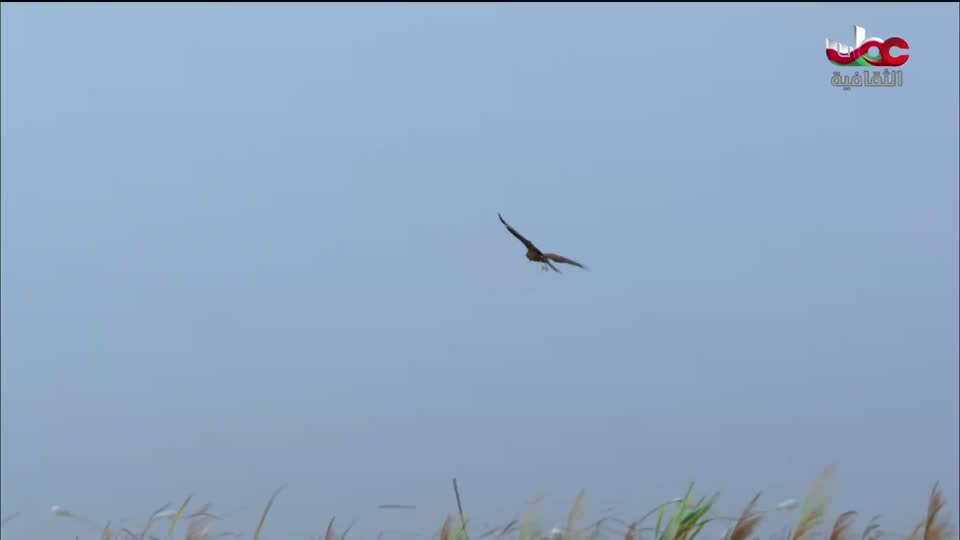 برنامج آخر الصفحة - الحلقة 8