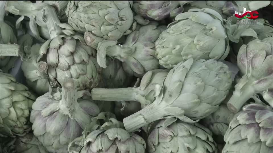 البرنامج الثقافي أرض ونار - تطور فن الطبخ - الحلقة 9