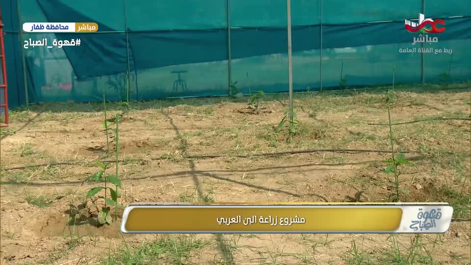 برنامج قهوة الصباح 2025 - الحلقة 162