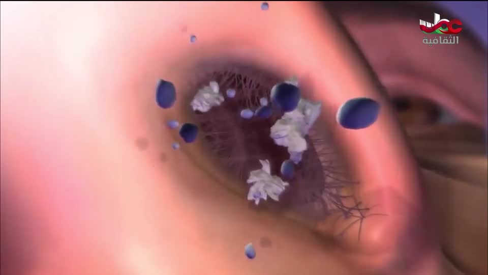 البرنامج الثقافي داخل الأشياء