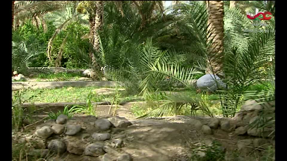 المسلسل المحلي _ الفاغور - الحلقة 1