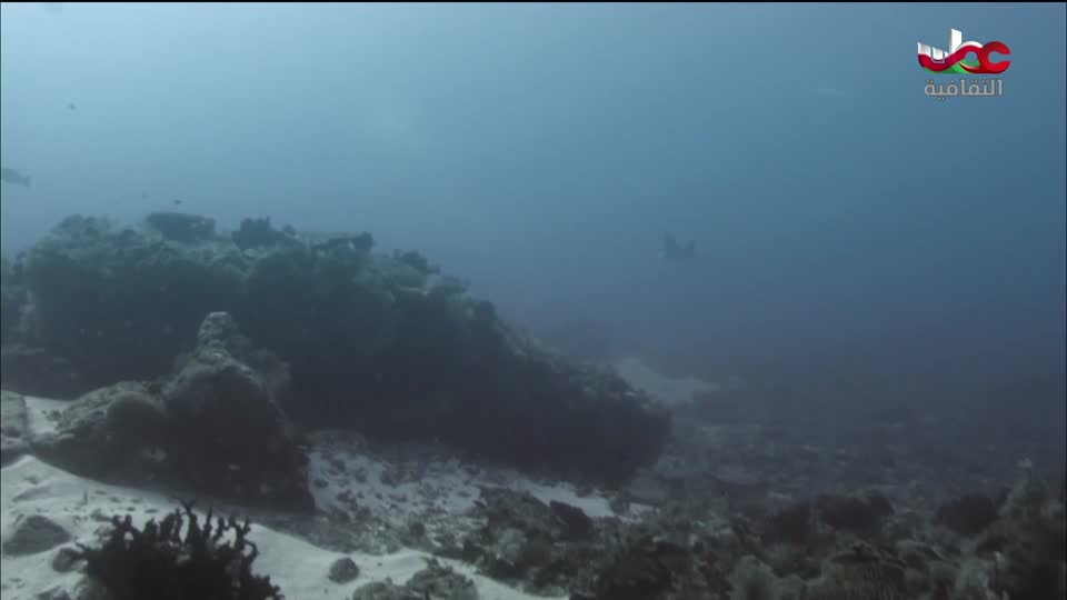 البرنامج الثقافي - كنور غارقة