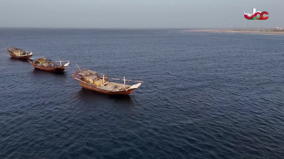 أخبار الحادية عشر