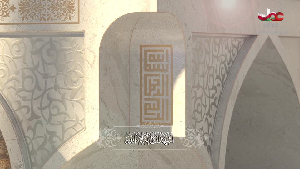 برنامج/متون