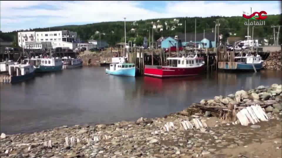 البرنامج الثقافي - الفضاء الشاسع - الحلقة 9