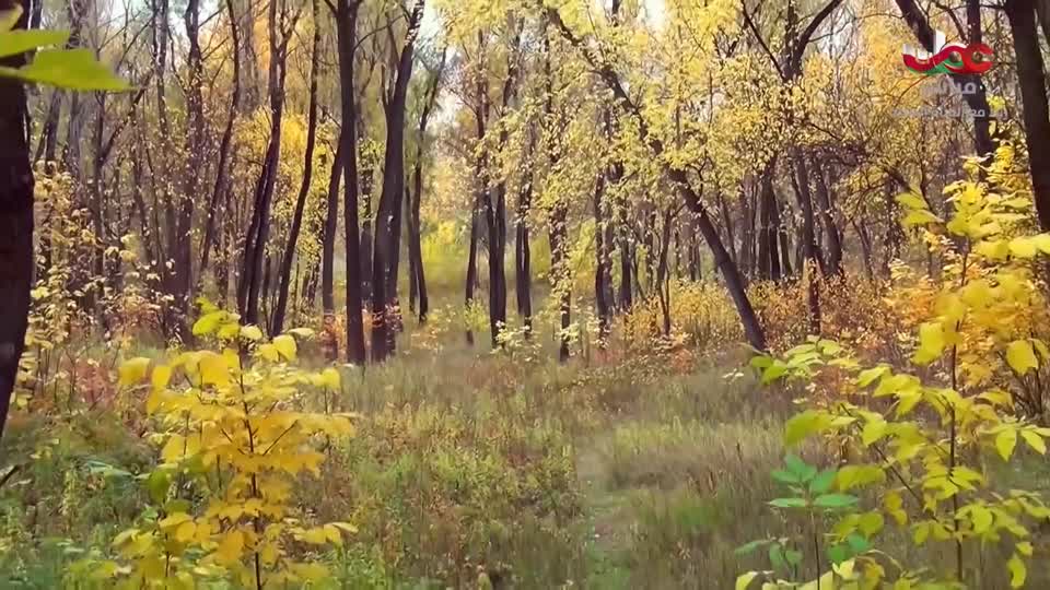 أذان المغرب