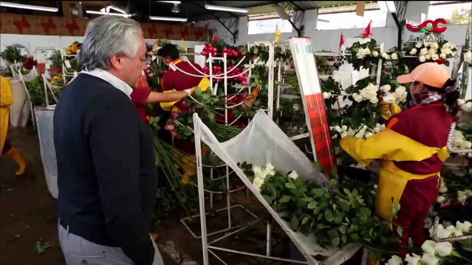 البرنامج الثقافي - هل تعلم ج2 - الحلقة 11