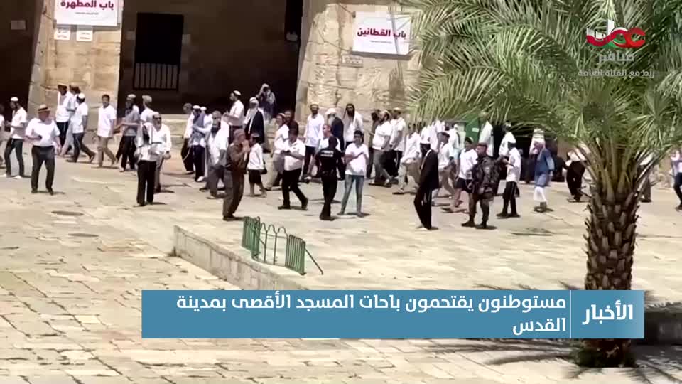 أخبار الواحدة