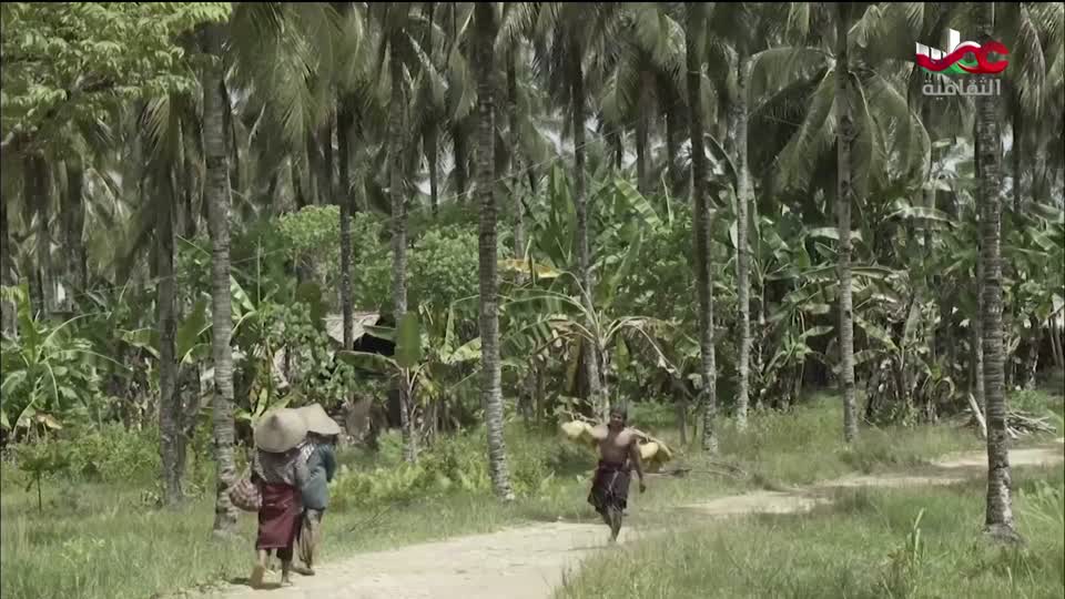 البرنامج الثقافي - عالم الأشجار