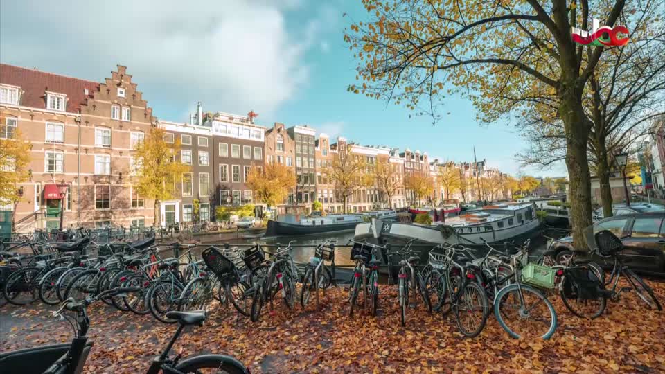 مسلسل الاطفال فريق الحماية - الحلقة 42