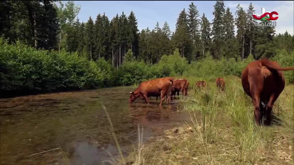 البرنامج الثقافي - الفضاء الشاسع - الحلقة 12