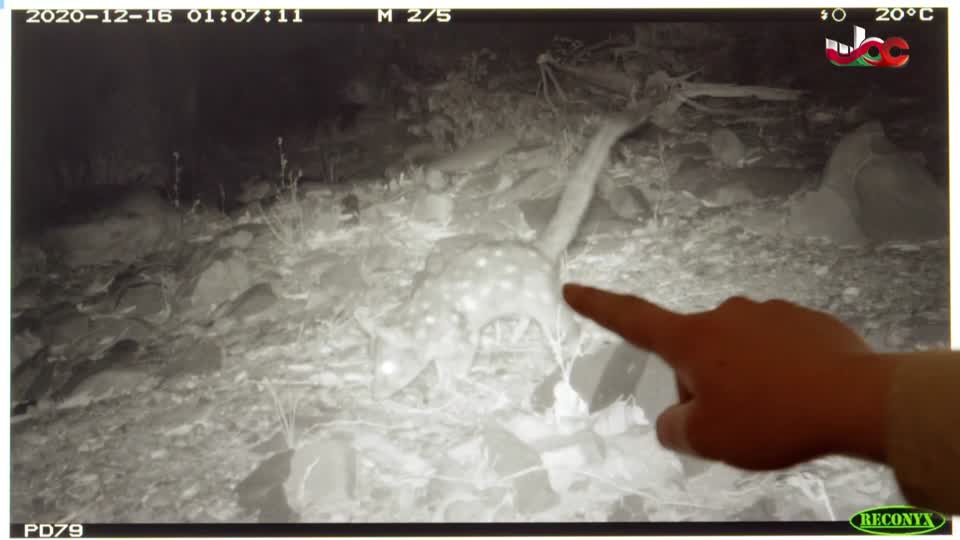 برنامج - في أحضان الرفهاية - ج2 - الحلقة 7