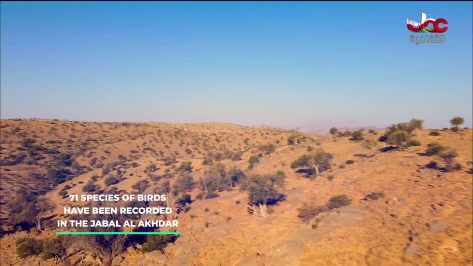 البرنامج الثقافي - العالم لك - الحلقة 12