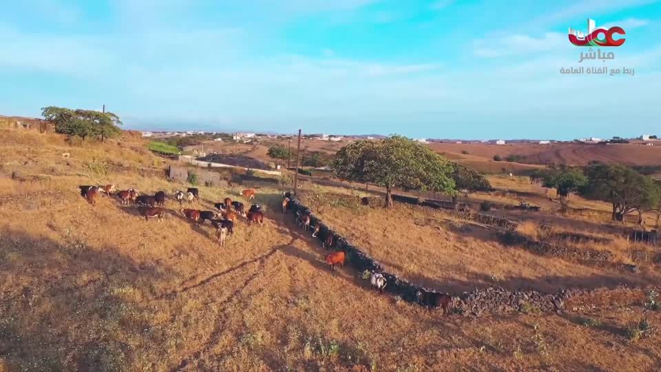 برنامج/الصرب